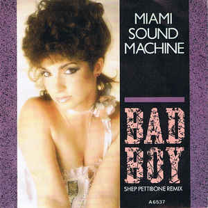 Bad Boy (Shep Pettibone Remix)